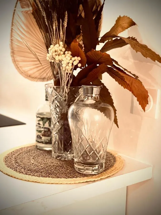 Appart Hotel Jaures - Boutique apartments Nice