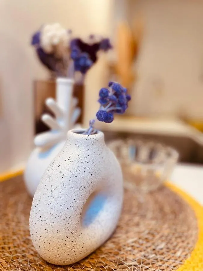 Appart Hotel Jaures - Boutique apartments Nice France