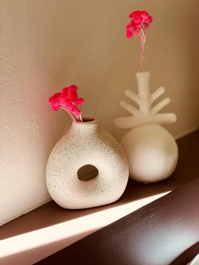Appart Hotel Jaures - Boutique apartments Nice
